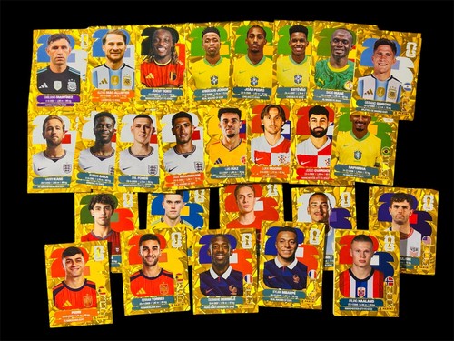 Panini figurine stickers album