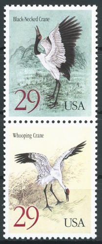 Usa 1994 gru - gru,